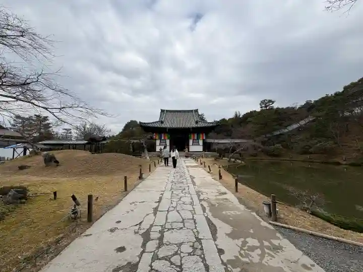 高台寺(高台寿聖禅寺・高臺寺)の{uncategorized: "未分類", other: "その他", undefined: "問題あり", building: "その他建物", grave: "お墓", sacred_gate: "鳥居", guardian: "狛犬", statue: "像", buddha: "仏像", history: "歴史", nature: "自然", garden: "庭園", animal: "動物", pagoda: "塔", temizu: "手水舎", mountain_gate: "山門・神門", sanctuary: "本殿・本堂", subordinate: "末社・摂社", art: "芸術", scenery: "景色", jizo: "地蔵", ema: "絵馬", goshuin: "御朱印", omikuji: "おみくじ", items: "授与品その他", amulet: "お守り", goshuincho: "御朱印帳", eats: "食事", festival: "お祭り", votive_dance: "神楽", shichigosan: "七五三参", wedding: "結婚式", experience: "体験その他", initially: "初詣", around: "周辺", anti_infection: "感染症対策"}