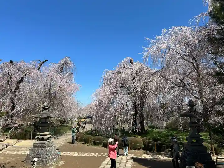 安養寺の{uncategorized: "未分類", other: "その他", undefined: "問題あり", building: "その他建物", grave: "お墓", sacred_gate: "鳥居", guardian: "狛犬", statue: "像", buddha: "仏像", history: "歴史", nature: "自然", garden: "庭園", animal: "動物", pagoda: "塔", temizu: "手水舎", mountain_gate: "山門・神門", sanctuary: "本殿・本堂", subordinate: "末社・摂社", art: "芸術", scenery: "景色", jizo: "地蔵", ema: "絵馬", goshuin: "御朱印", omikuji: "おみくじ", items: "授与品その他", amulet: "お守り", goshuincho: "御朱印帳", eats: "食事", festival: "お祭り", votive_dance: "神楽", shichigosan: "七五三参", wedding: "結婚式", experience: "体験その他", initially: "初詣", around: "周辺", anti_infection: "感染症対策"}