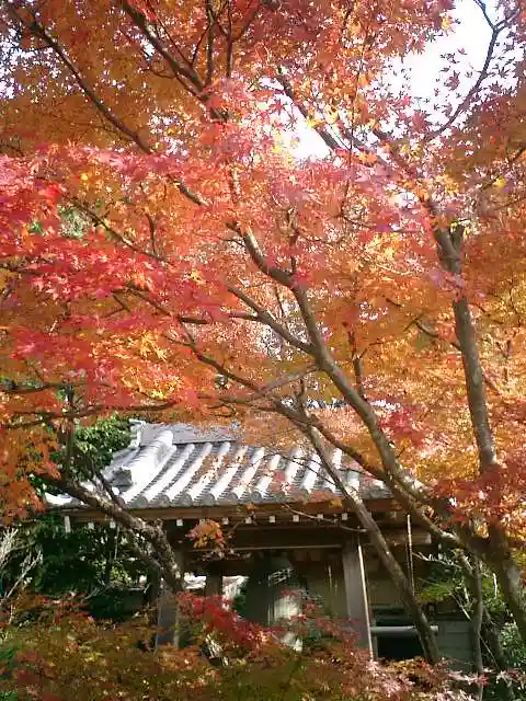 浄光明寺の自然