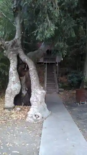 鹿島神社の建物その他