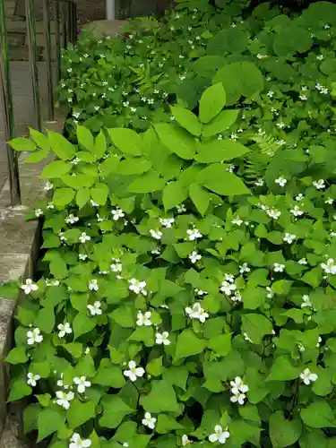 豊景神社(福島県)