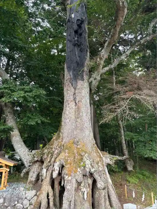 富士山東口本宮 冨士浅間神社(静岡県)