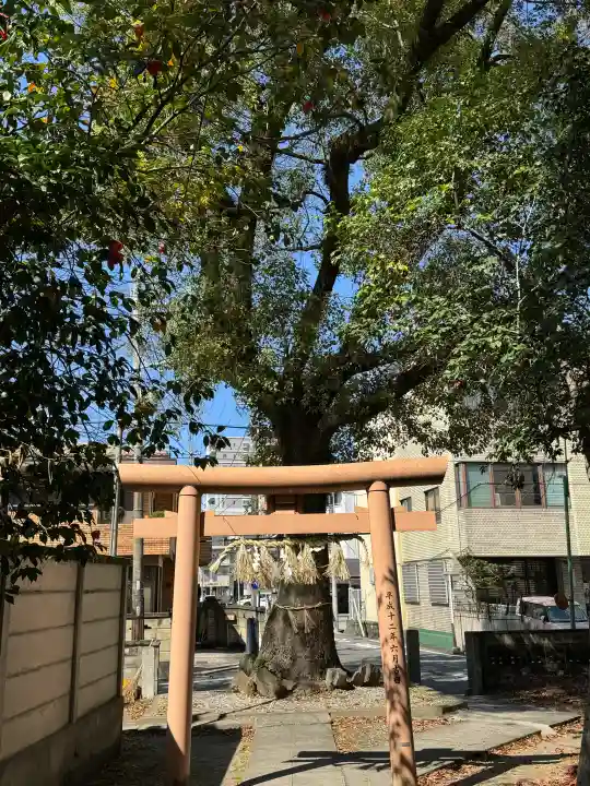 綿神社の{uncategorized: "未分類", other: "その他", undefined: "問題あり", building: "その他建物", grave: "お墓", sacred_gate: "鳥居", guardian: "狛犬", statue: "像", buddha: "仏像", history: "歴史", nature: "自然", garden: "庭園", animal: "動物", pagoda: "塔", temizu: "手水舎", mountain_gate: "山門・神門", sanctuary: "本殿・本堂", subordinate: "末社・摂社", art: "芸術", scenery: "景色", jizo: "地蔵", ema: "絵馬", goshuin: "御朱印", omikuji: "おみくじ", items: "授与品その他", amulet: "お守り", goshuincho: "御朱印帳", eats: "食事", festival: "お祭り", votive_dance: "神楽", shichigosan: "七五三参", wedding: "結婚式", experience: "体験その他", initially: "初詣", around: "周辺", anti_infection: "感染症対策"}