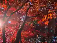 滑川神社 - 仕事と子どもの守り神の自然