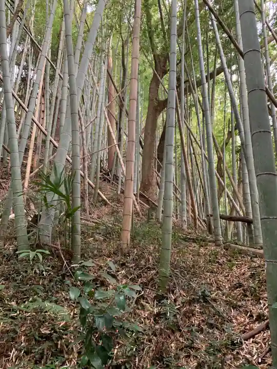 金剛勝寺(千葉県)
