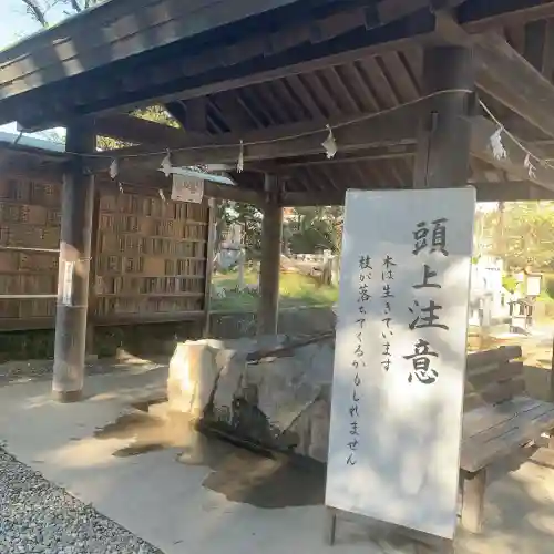 闘鶏神社(和歌山県)