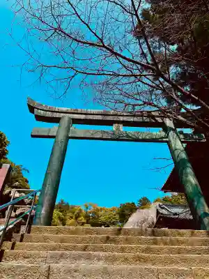 久能山東照宮の{uncategorized: "未分類", other: "その他", undefined: "問題あり", building: "その他建物", grave: "お墓", sacred_gate: "鳥居", guardian: "狛犬", statue: "像", buddha: "仏像", history: "歴史", nature: "自然", garden: "庭園", animal: "動物", pagoda: "塔", temizu: "手水舎", mountain_gate: "山門・神門", sanctuary: "本殿・本堂", subordinate: "末社・摂社", art: "芸術", scenery: "景色", jizo: "地蔵", ema: "絵馬", goshuin: "御朱印", omikuji: "おみくじ", items: "授与品その他", amulet: "お守り", goshuincho: "御朱印帳", eats: "食事", festival: "お祭り", votive_dance: "神楽", shichigosan: "七五三参", wedding: "結婚式", experience: "体験その他", initially: "初詣", around: "周辺", anti_infection: "感染症対策"}
