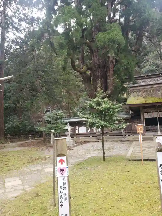 若狭姫神社(若狭彦神社下社)(福井県)