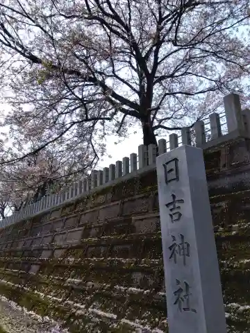 日吉神社(福井県)