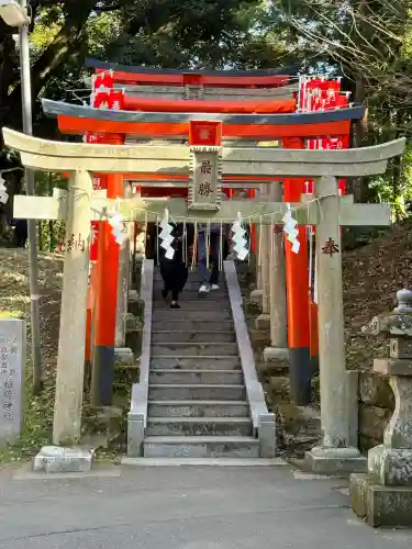 大杉神社の{uncategorized: "未分類", other: "その他", undefined: "問題あり", building: "その他建物", grave: "お墓", sacred_gate: "鳥居", guardian: "狛犬", statue: "像", buddha: "仏像", history: "歴史", nature: "自然", garden: "庭園", animal: "動物", pagoda: "塔", temizu: "手水舎", mountain_gate: "山門・神門", sanctuary: "本殿・本堂", subordinate: "末社・摂社", art: "芸術", scenery: "景色", jizo: "地蔵", ema: "絵馬", goshuin: "御朱印", omikuji: "おみくじ", items: "授与品その他", amulet: "お守り", goshuincho: "御朱印帳", eats: "食事", festival: "お祭り", votive_dance: "神楽", shichigosan: "七五三参", wedding: "結婚式", experience: "体験その他", initially: "初詣", around: "周辺", anti_infection: "感染症対策"}