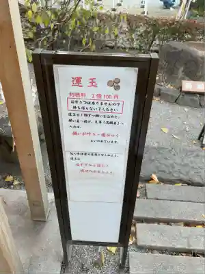蛇窪神社(東京都)