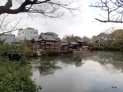 神泉苑の庭園