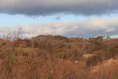三渡神社の周辺
