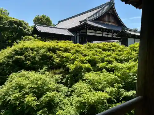 東福禅寺（東福寺）(京都府)