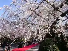 源空院（浅井寺）の自然