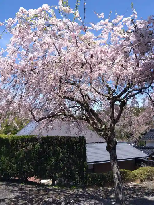 三明院(京都府)