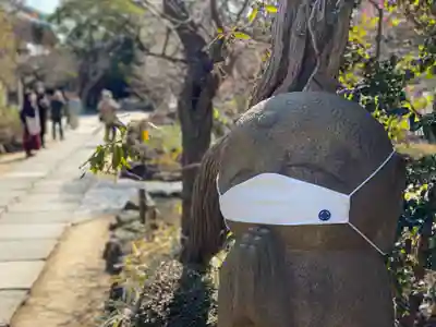 長谷寺の感染症対策