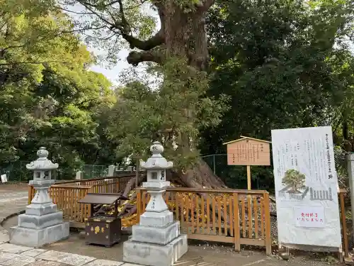 和泉國一之宮　大鳥大社の{uncategorized: "未分類", other: "その他", undefined: "問題あり", building: "その他建物", grave: "お墓", sacred_gate: "鳥居", guardian: "狛犬", statue: "像", buddha: "仏像", history: "歴史", nature: "自然", garden: "庭園", animal: "動物", pagoda: "塔", temizu: "手水舎", mountain_gate: "山門・神門", sanctuary: "本殿・本堂", subordinate: "末社・摂社", art: "芸術", scenery: "景色", jizo: "地蔵", ema: "絵馬", goshuin: "御朱印", omikuji: "おみくじ", items: "授与品その他", amulet: "お守り", goshuincho: "御朱印帳", eats: "食事", festival: "お祭り", votive_dance: "神楽", shichigosan: "七五三参", wedding: "結婚式", experience: "体験その他", initially: "初詣", around: "周辺", anti_infection: "感染症対策"}