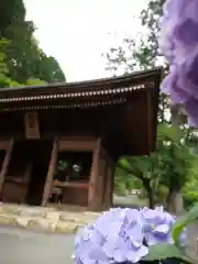 普門寺(切り絵御朱印発祥の寺)の山門