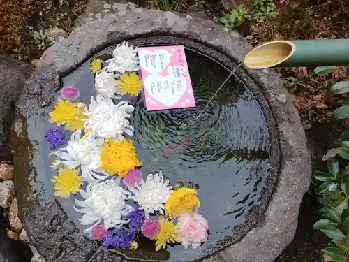 仙台大神宮のおみくじ