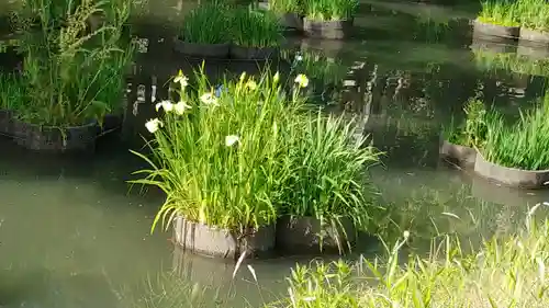 香椎宮(福岡県)