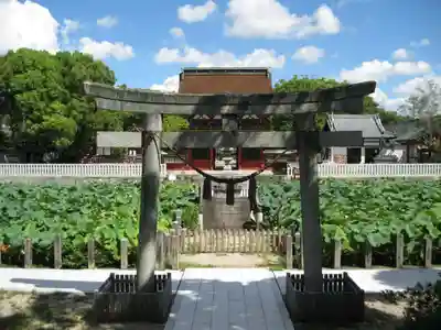 伊賀八幡宮(愛知県)