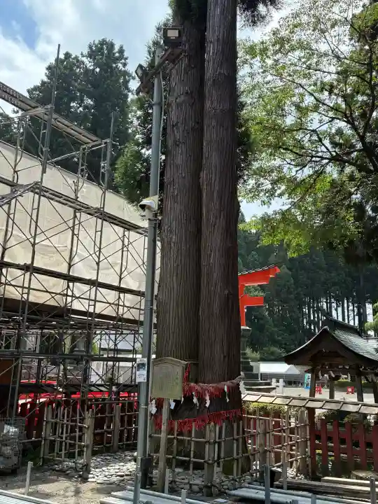 櫛引八幡宮(青森県)
