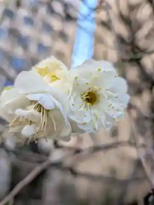 銀世界稲荷神社(東京都)