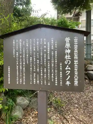 菅原神社(神奈川県)