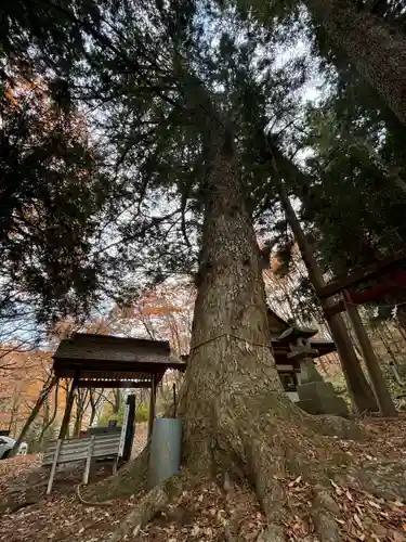 龍興山神社(青森県)
