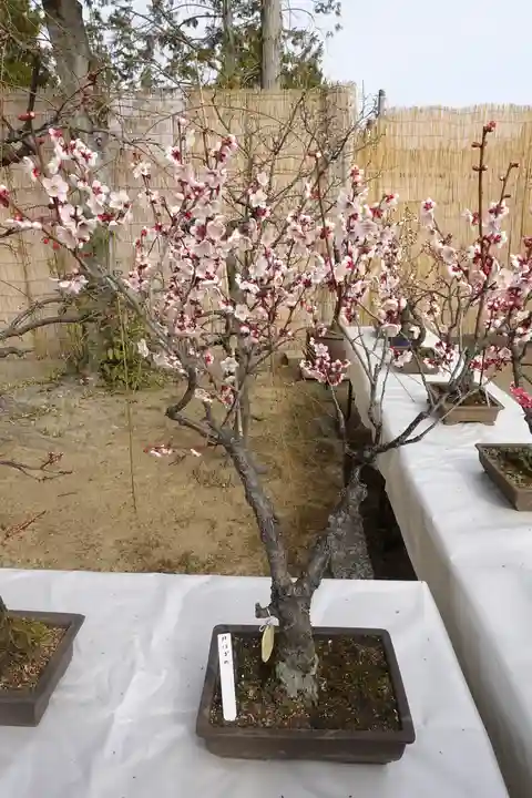 菅原天満宮(菅原神社)の自然