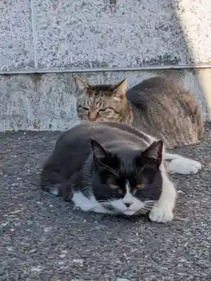 白金氷川神社(東京都)