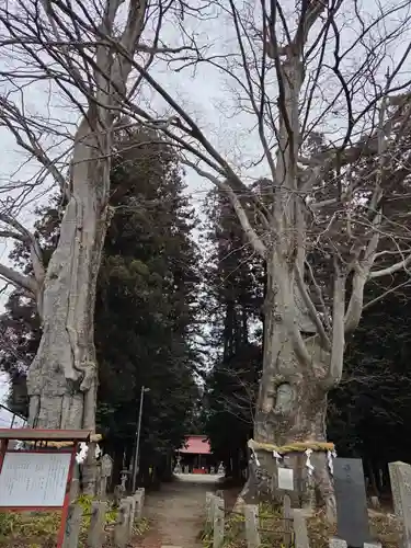 智賀都神社(栃木県)