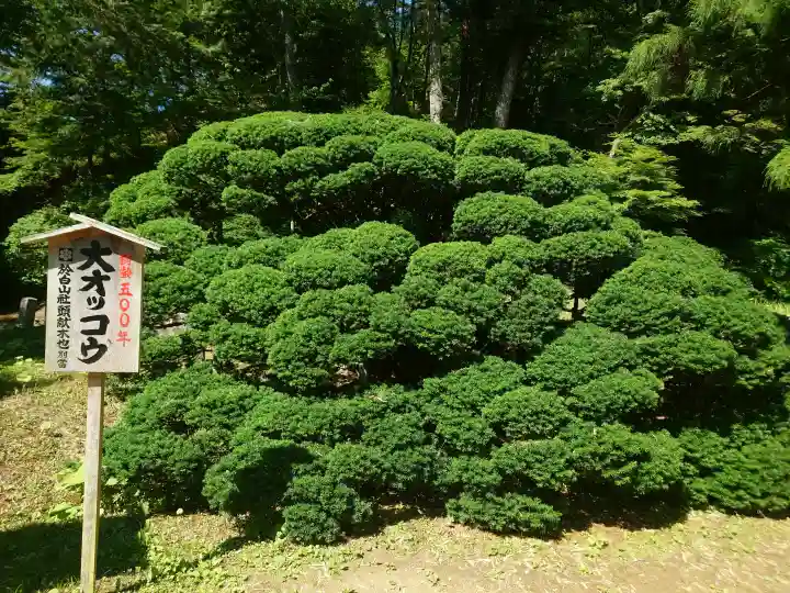 達谷西光寺(岩手県)