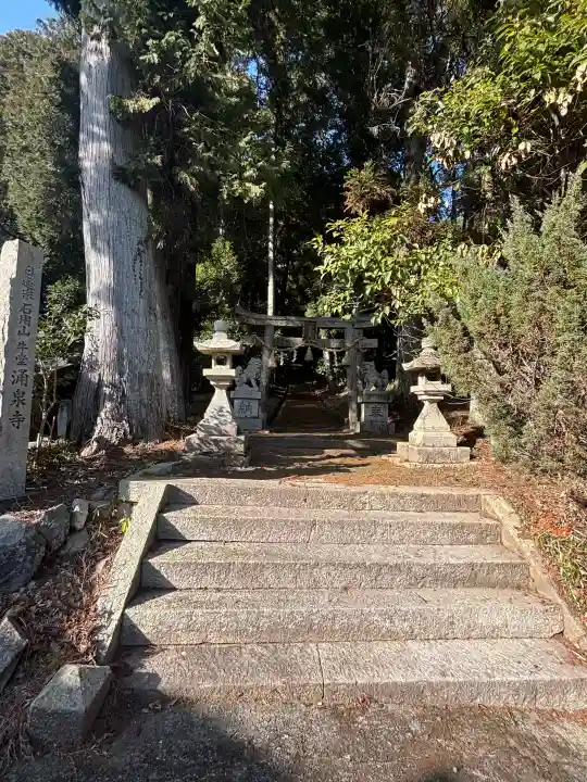涌泉寺の{uncategorized: "未分類", other: "その他", undefined: "問題あり", building: "その他建物", grave: "お墓", sacred_gate: "鳥居", guardian: "狛犬", statue: "像", buddha: "仏像", history: "歴史", nature: "自然", garden: "庭園", animal: "動物", pagoda: "塔", temizu: "手水舎", mountain_gate: "山門・神門", sanctuary: "本殿・本堂", subordinate: "末社・摂社", art: "芸術", scenery: "景色", jizo: "地蔵", ema: "絵馬", goshuin: "御朱印", omikuji: "おみくじ", items: "授与品その他", amulet: "お守り", goshuincho: "御朱印帳", eats: "食事", festival: "お祭り", votive_dance: "神楽", shichigosan: "七五三参", wedding: "結婚式", experience: "体験その他", initially: "初詣", around: "周辺", anti_infection: "感染症対策"}