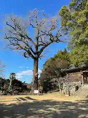 内日神社(山口県)