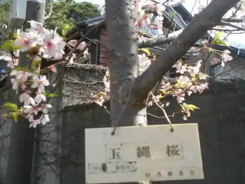 五所神社の自然