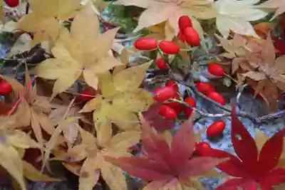 滑川神社 - 仕事と子どもの守り神の手水舎