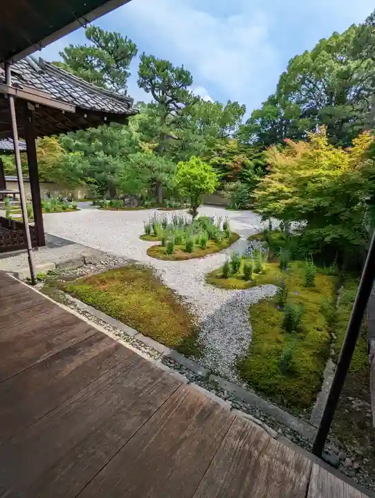 廬山寺(廬山天台講寺)(京都府)