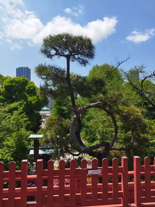 清水観音堂(東京都)