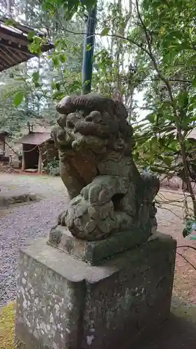 虎柏神社の狛犬