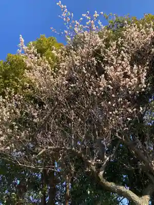 般若院(神奈川県)
