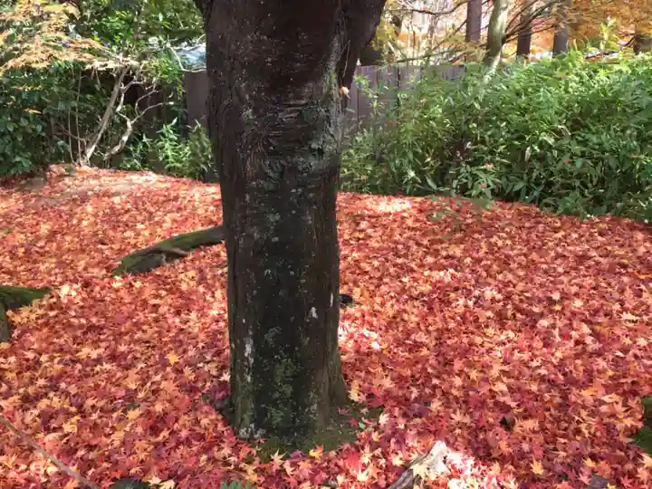 龍安寺(京都府)