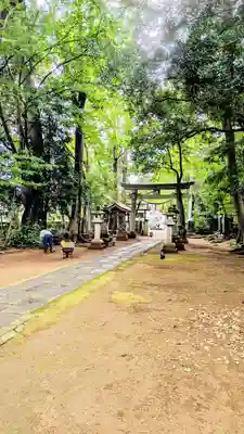 七百餘所神社 の鳥居
