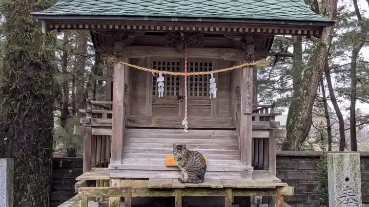 五色濱神社の動物