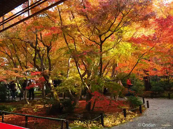 圓光寺(京都府)