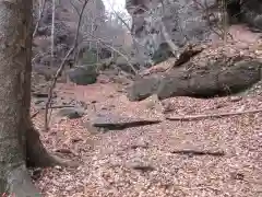 釋尊寺の建物その他