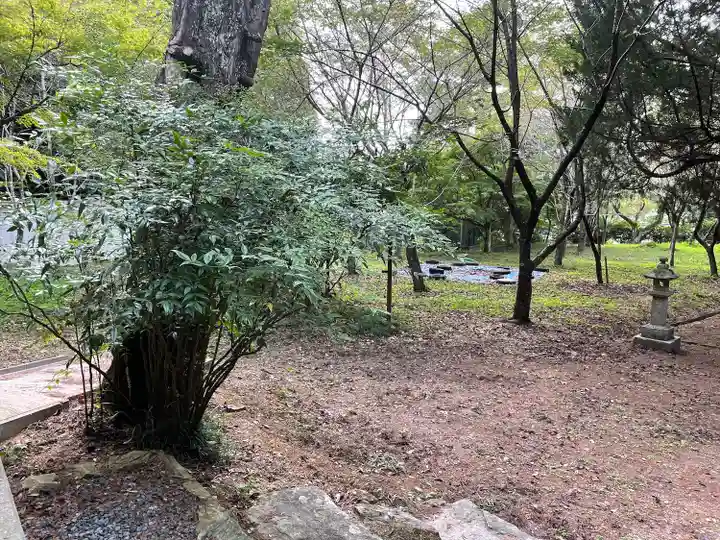 木戸神社の自然