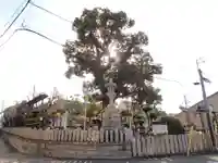 伯太神社の自然