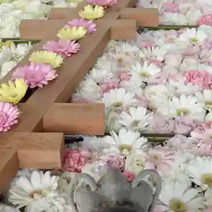 帯廣神社の手水舎(2025年04月30日(水) 17時52分04秒投稿)